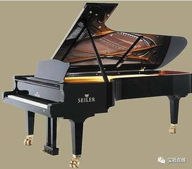 有這么好的事兒 免費(fèi)讓孩子們體驗鋼琴課 小提琴課 大提琴課 這是真的嗎