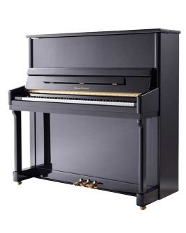 會過日子的人一般會買哪個牌子的森迪樂器代理銷售?你肯定想不到