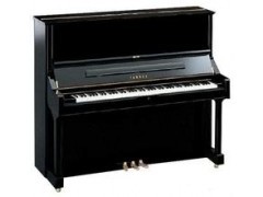 上海進(jìn)口德國博蘭斯勒二手鋼琴_中國企發(fā)網(wǎng)