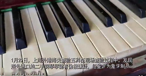 象牙琴鍵 二手鋼琴中不為人知的歷史與玄機