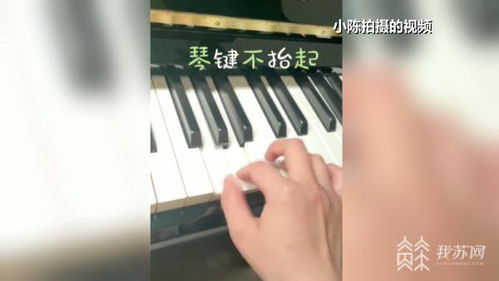 進口鋼琴頻頻出問題，是‘水土不服’還是另有隱情？