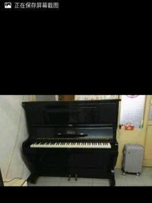 法式匠心，音韻華章 法國進口鋼琴的魅力與選擇